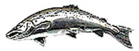 Just Fish Pewter Small Salmon Lapel Pin